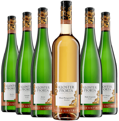 online-weinprobe-weine1