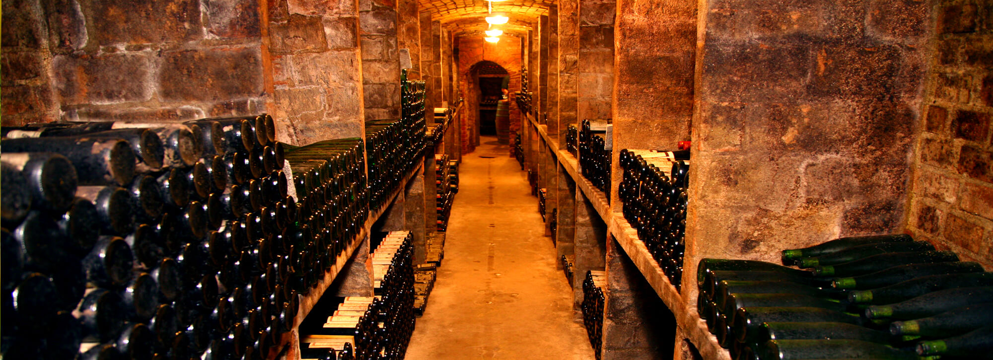 weinarchiv-kloster-pforta