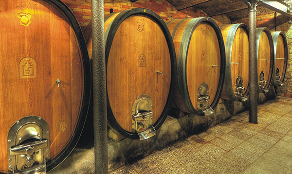 breitengrad-praesentateion1-600×359